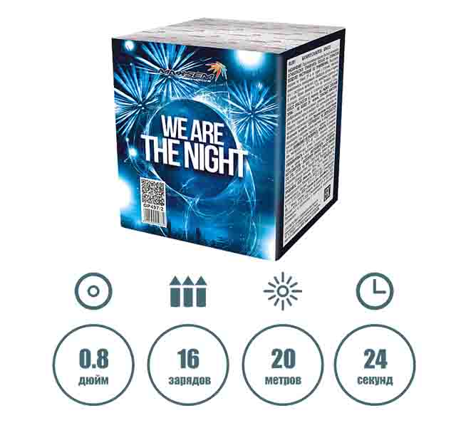 WE ARE THE NIGHT